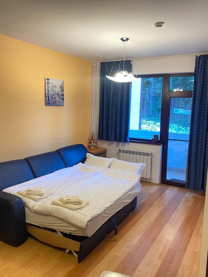 Hq Apartment Flora Violet بوروفتس المظهر الخارجي الصورة